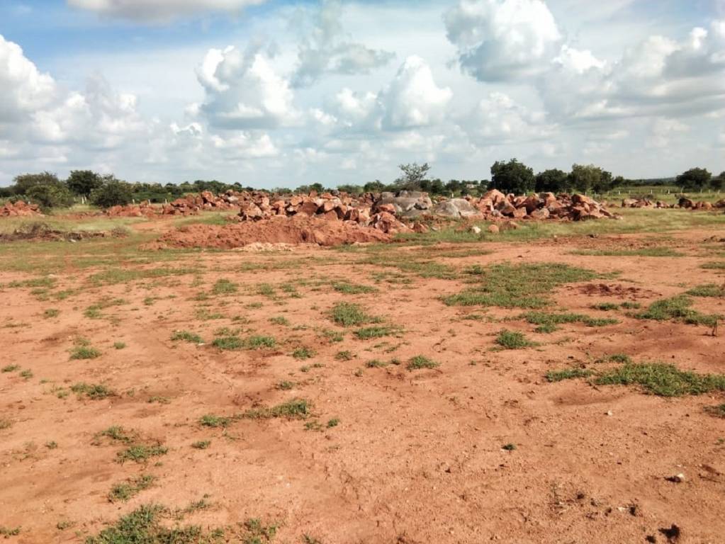  true greens 3 phase 2 Plot