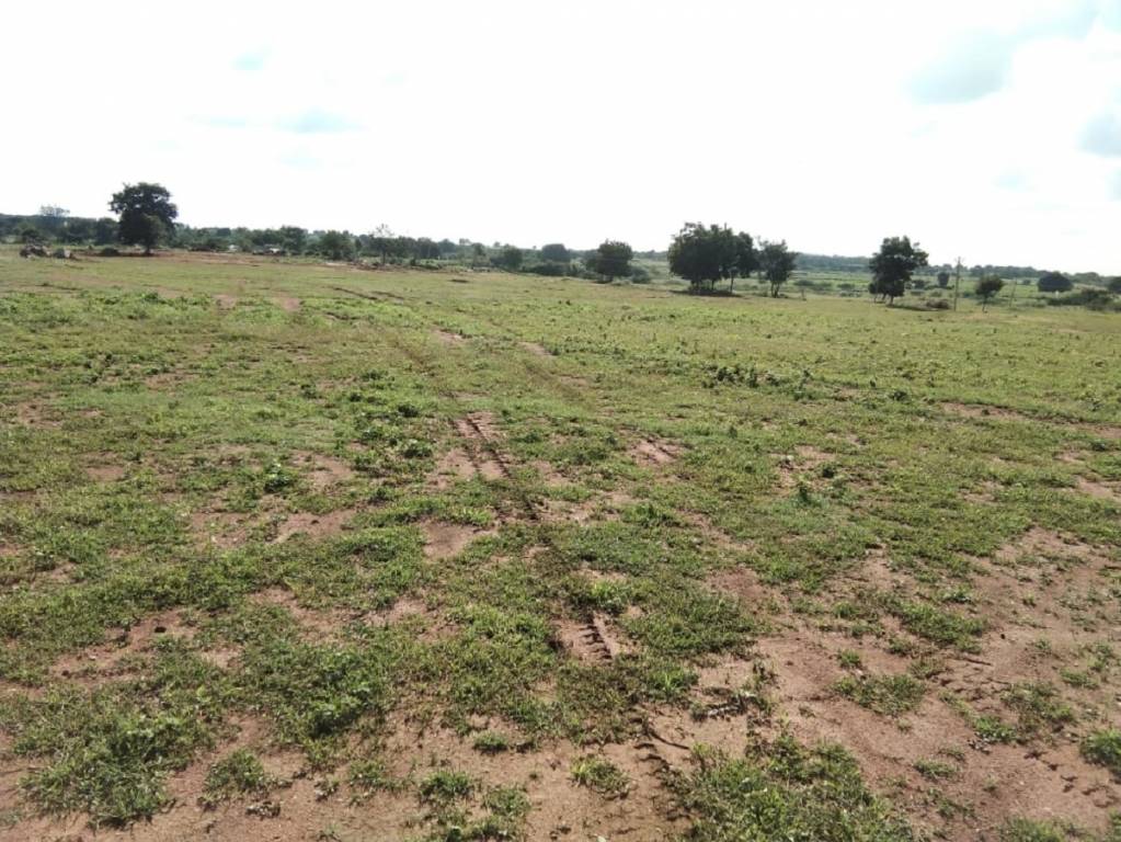  true greens 3 phase 2 Plot