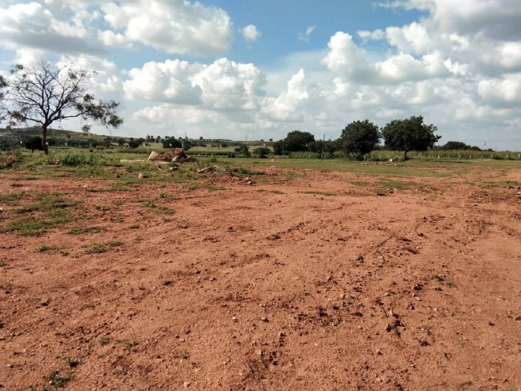  true greens 3 phase 2 Plot