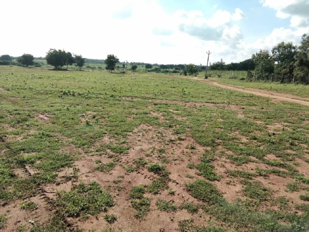  true greens 3 phase 2 Plot