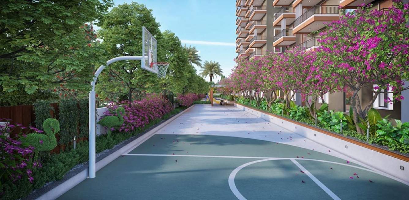  estella Basketball Court