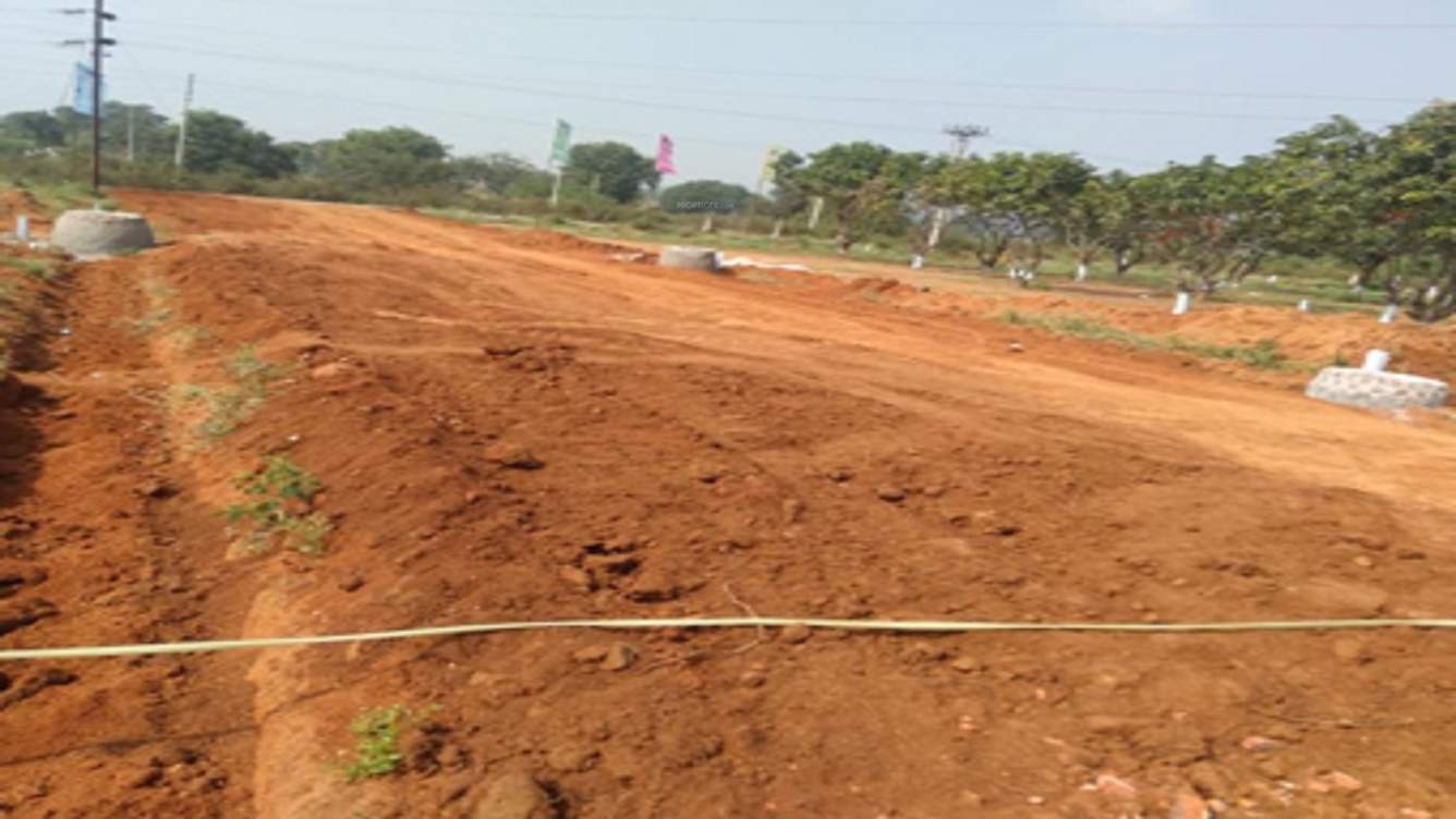  hallmark ecity Plot