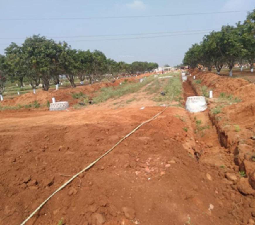  hallmark ecity Plot