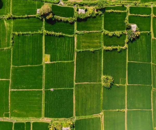  high-grove-golf-villas-and-plots Elevation