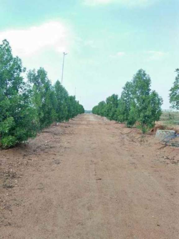  akash vihar elite Plot