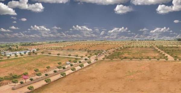  nri-township-49-lp Plot