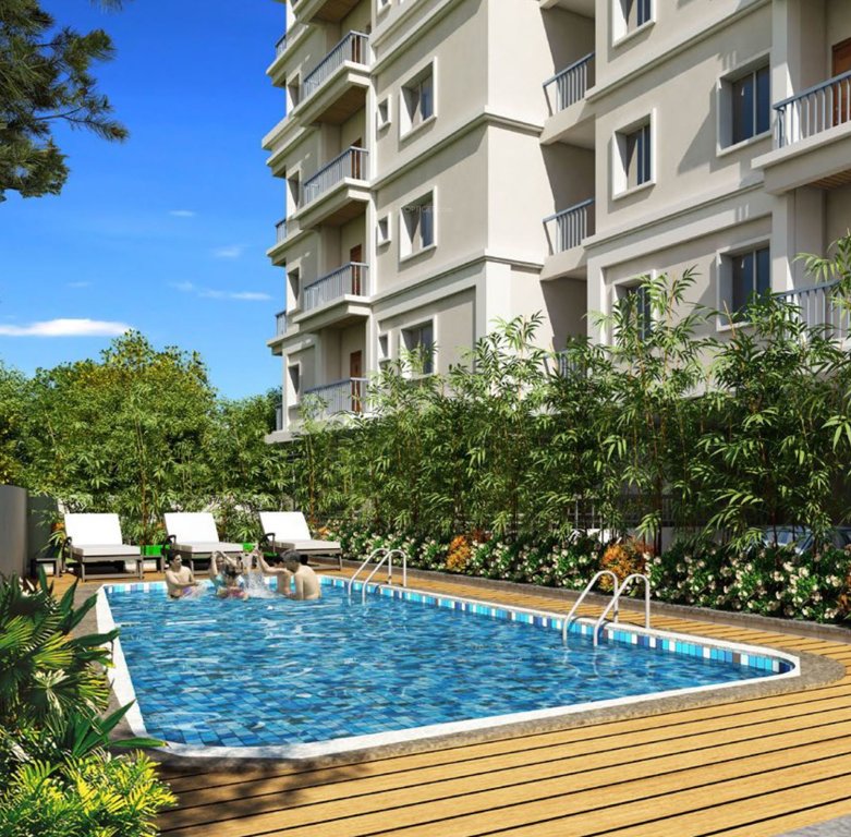  panorama Swimming Pool