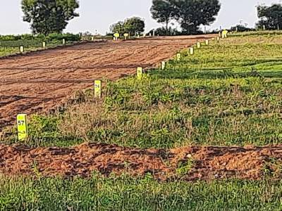  indigold-9-phase-4 Plot