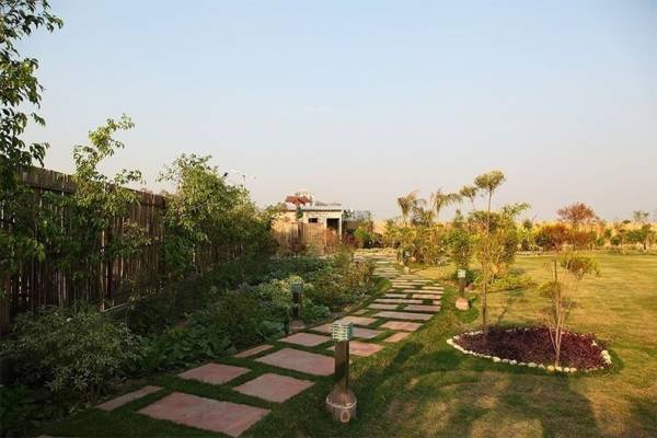 Plot sportsland-activity-farms Plot