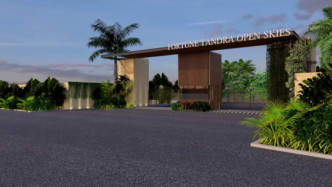  tandra open skies Elevation