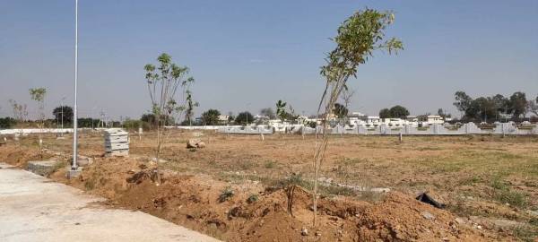  tandra-open-skies Plot