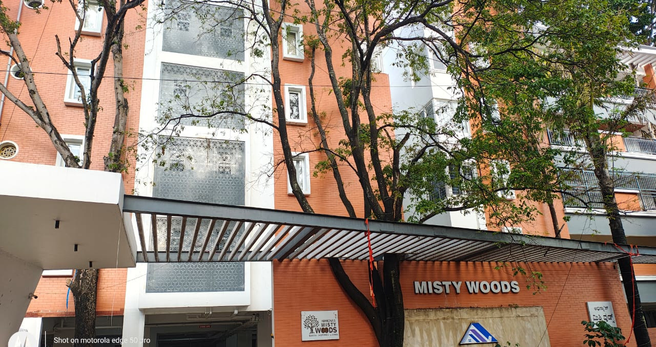  misty woods Elevation