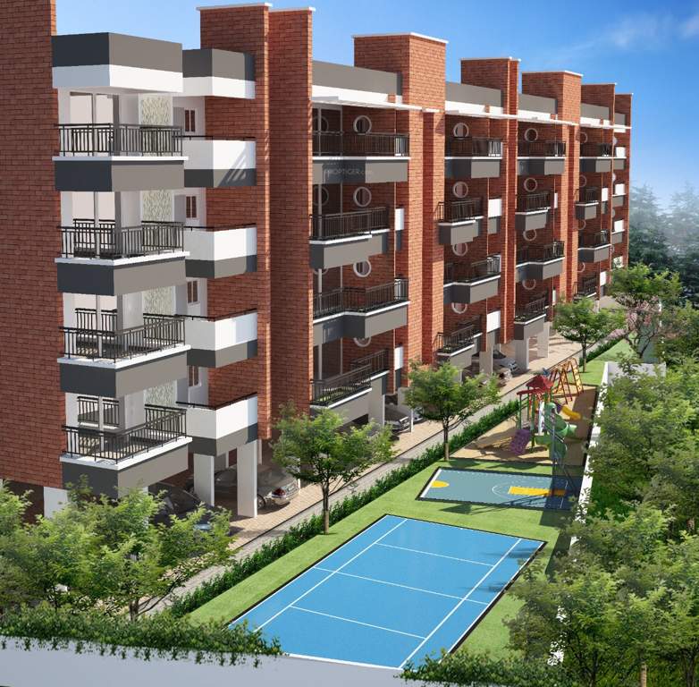  misty woods Basketball Court