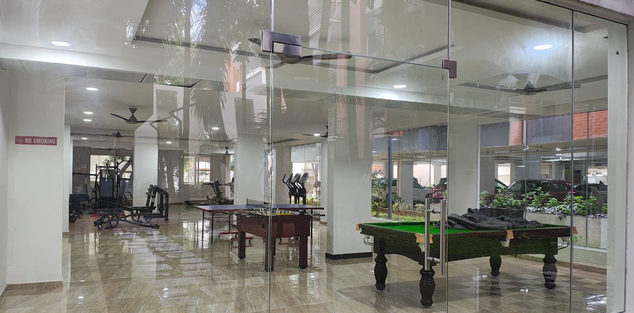  misty woods Indoor Games