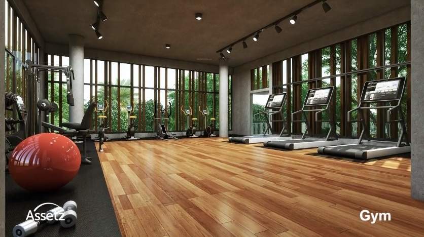  earth and essence Gymnasium