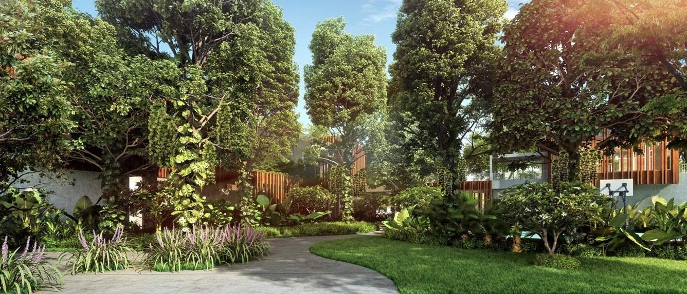  earth and essence Landscaped Gardens