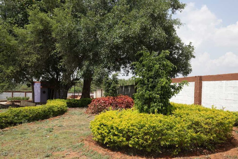  habitat phase 2 Landscaped Gardens
