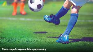 bougainvillea gardens Football Field