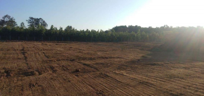  platinum phase ii Plot