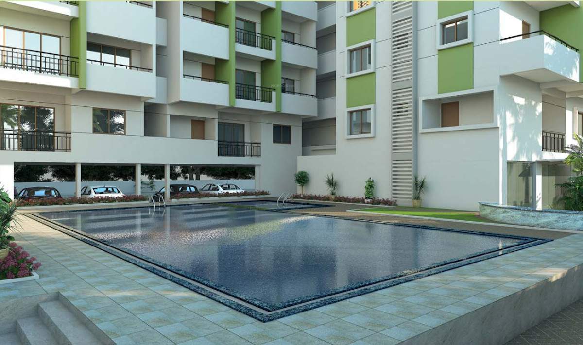  sonestaa melody Swimming Pool