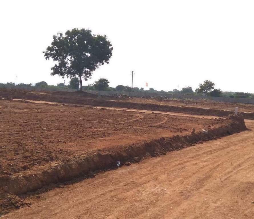  grand arena Elevation