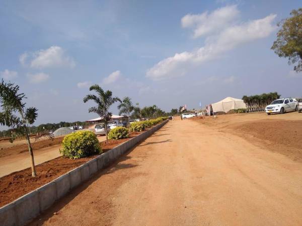  grand-arena Elevation