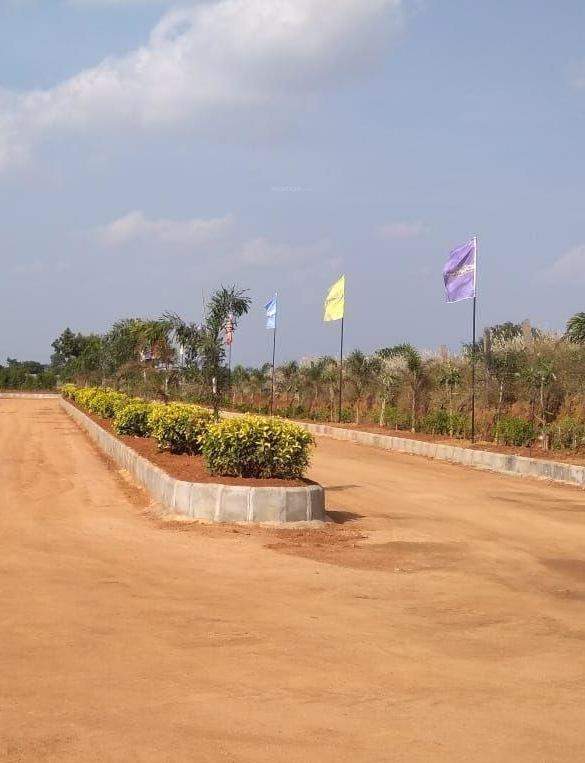  grand arena Elevation