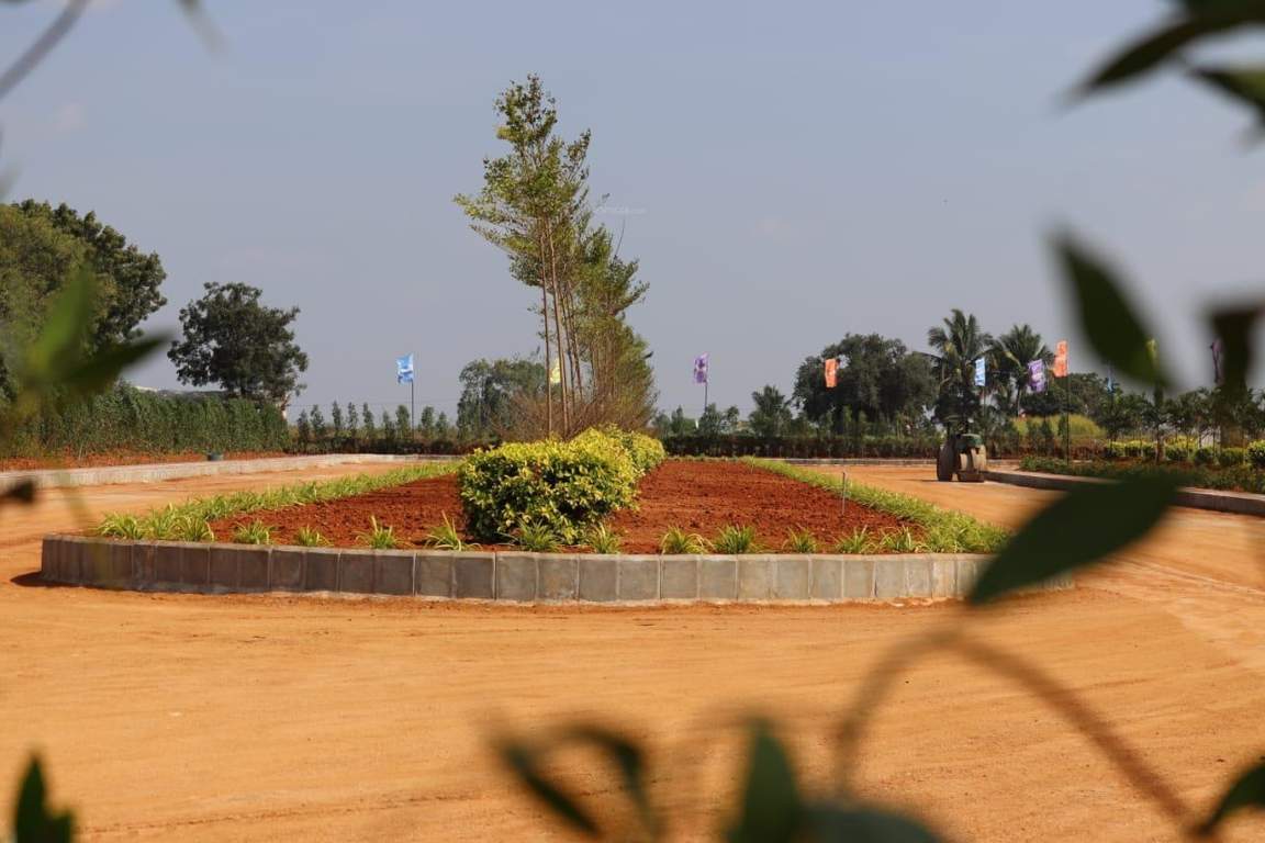  grand arena Elevation