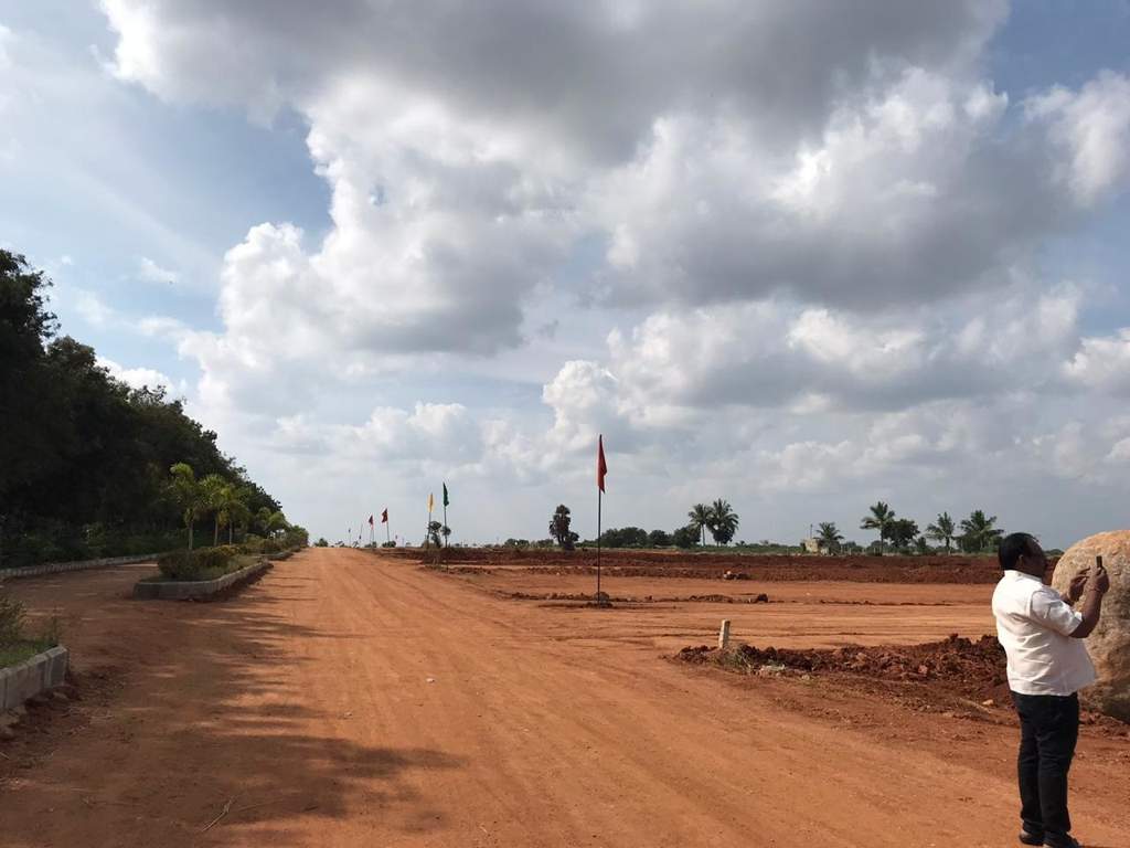  grand arena Elevation