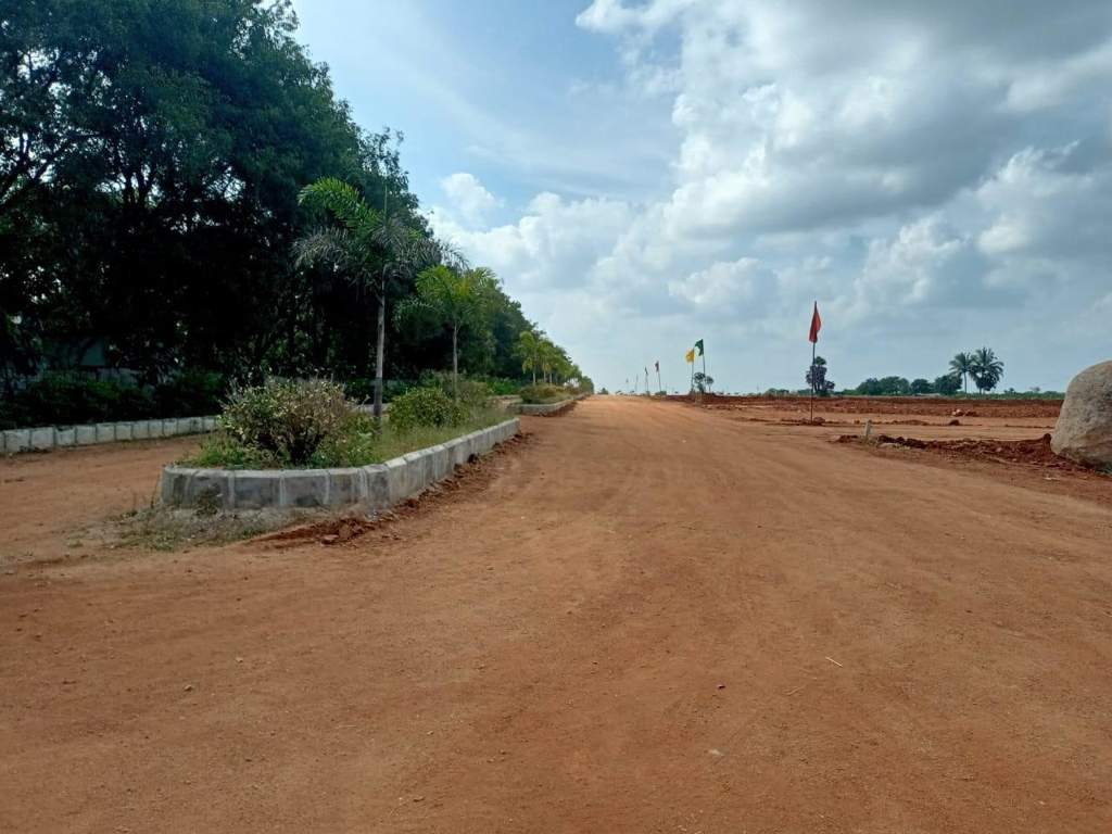  grand arena Elevation