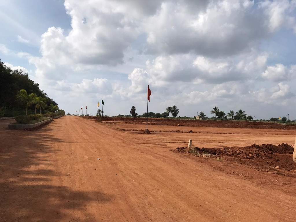  grand arena Elevation