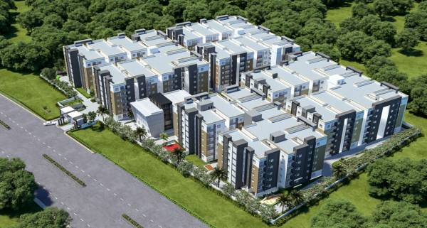  pranav-flora Elevation