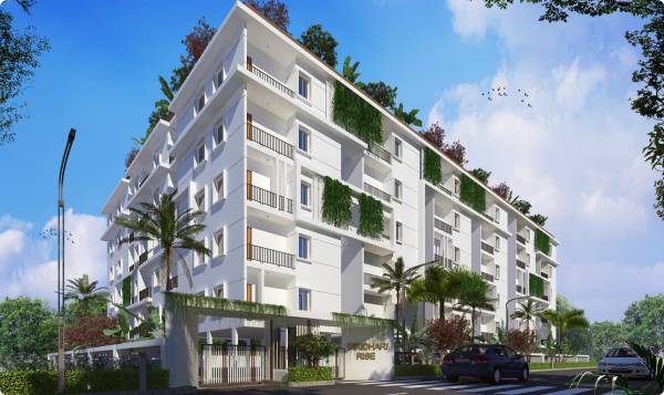 Elevation homes-rise Elevation