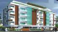 Cannas Lily Infrastructure JCN Raj Serenity