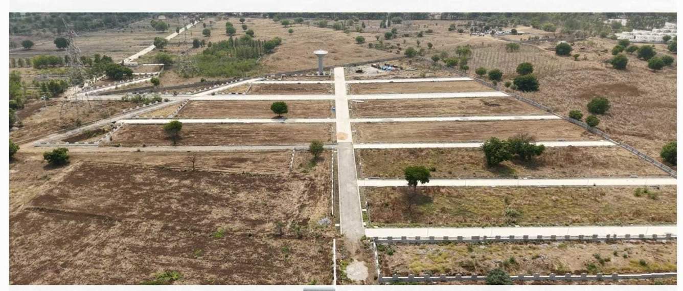  western county Plot