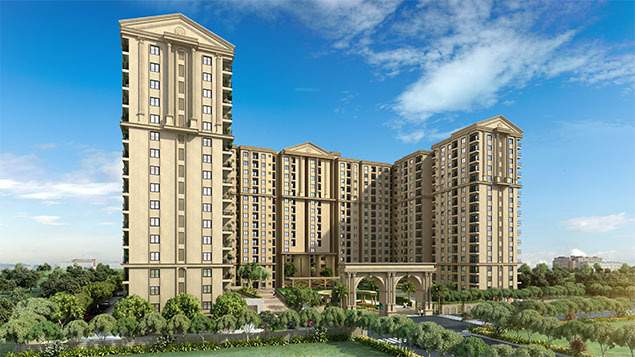  first city Elevation