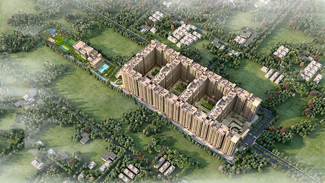  first city Elevation