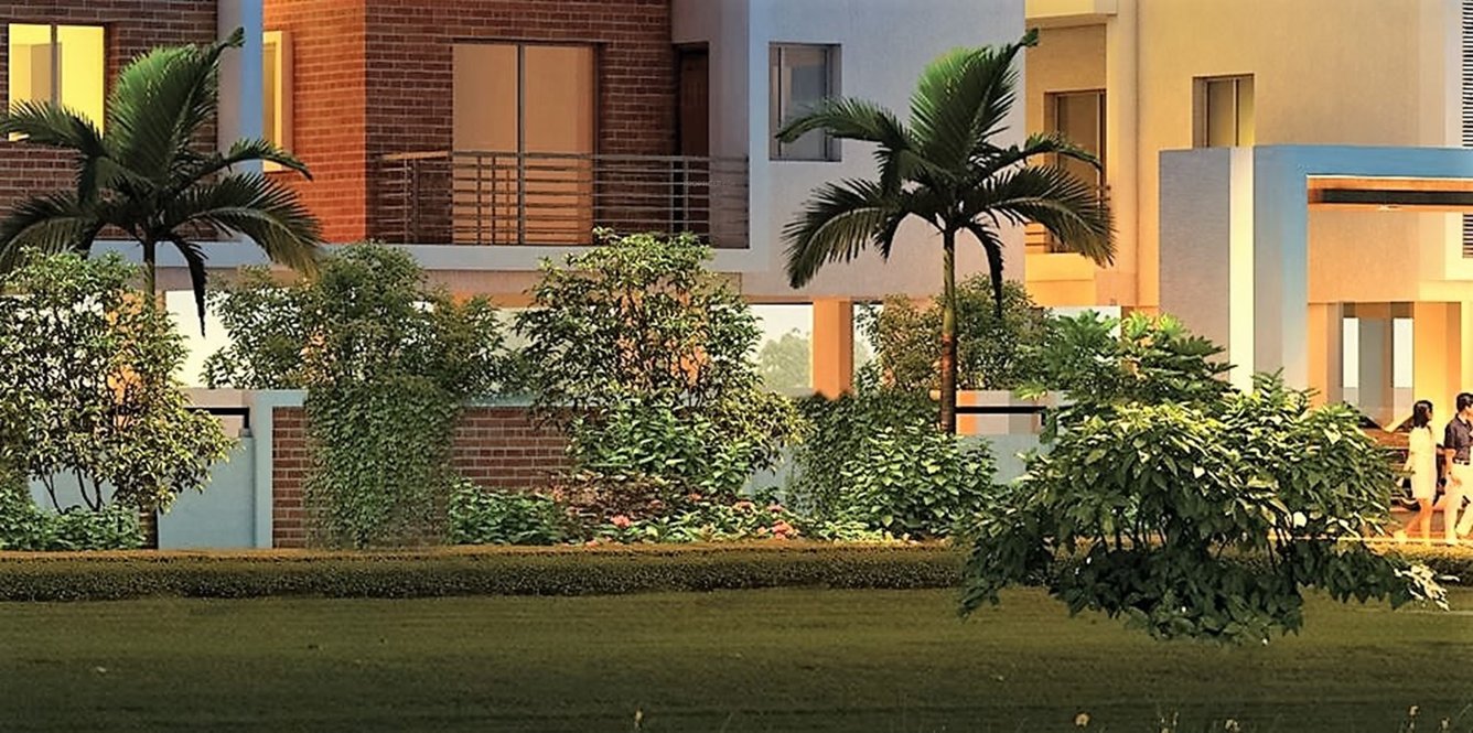  poe tree extention Landscape Garden and Tree Planting