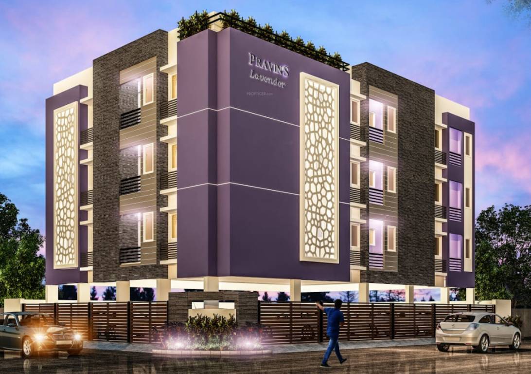  pravins lavender Elevation