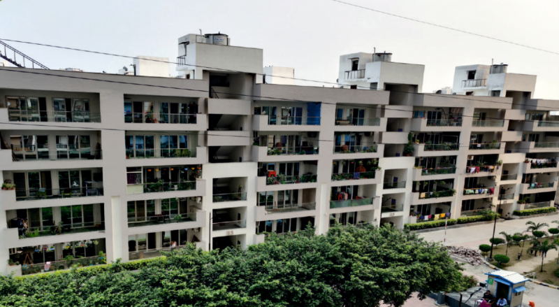  prime-390-phase-2 Elevation