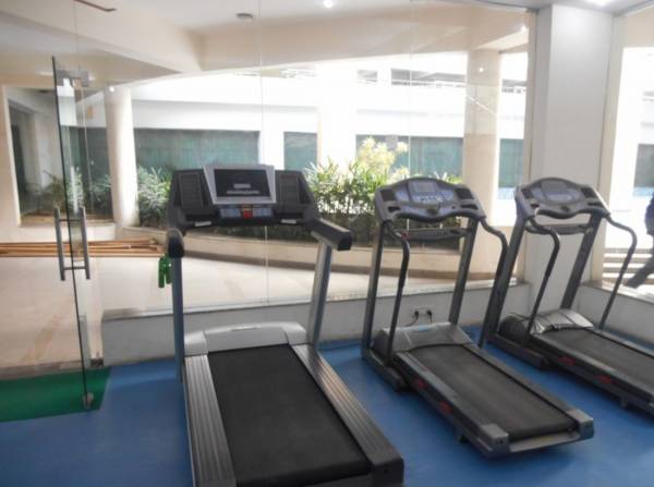  prime-390-phase-2 Gymnasium