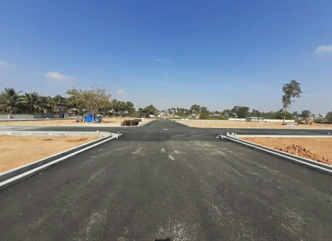  golden valley Plot