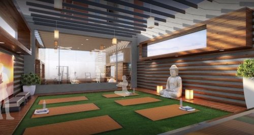  austin-county Yoga/ Meditation Area