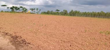  telecom-smart-city-2 Elevation