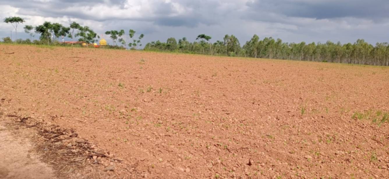 Elevation telecom smart city 2 Elevation