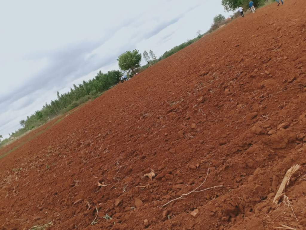  telecom smart city 2 Plot