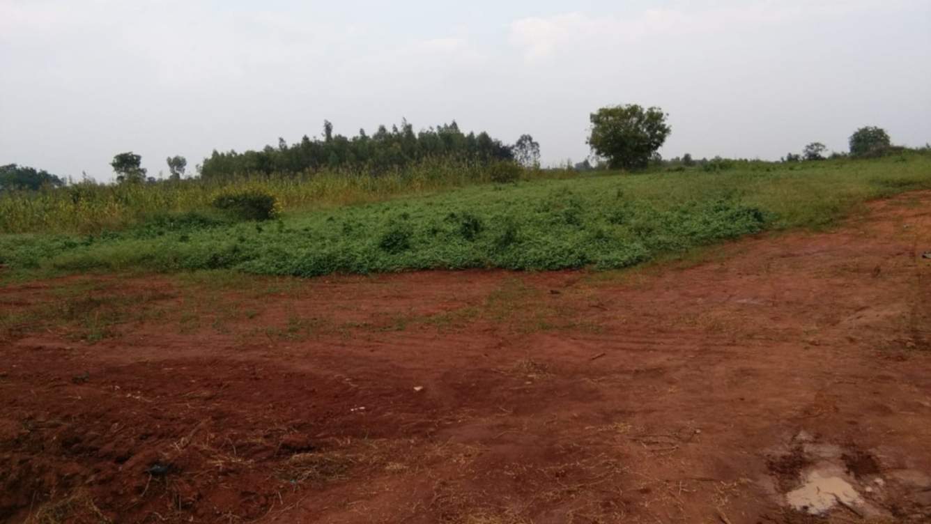  telecom smart city 2 Plot