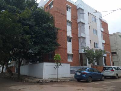  vikram-anthurium Elevation