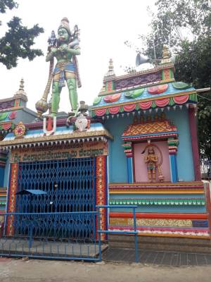 mainOther of Vikram Vikram Anthurium