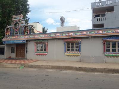 mainOther of Vikram Vikram Anthurium